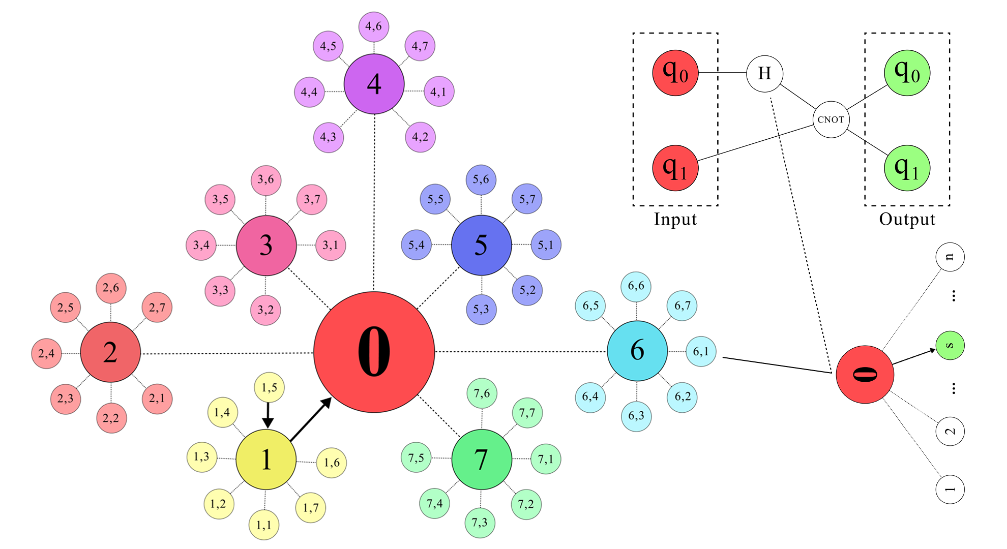 RL-Synthesised Quantum Circuits: A Novel Lens for Phase Transitions in Many-Body Systems